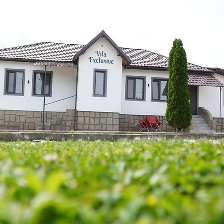 Vila Exclusive Targu Jiu Bagian luar foto