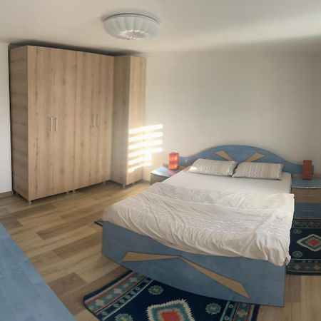 Vila Exclusive Targu Jiu Bagian luar foto