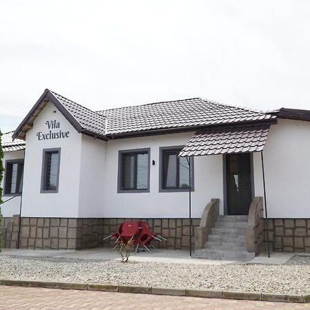 Vila Exclusive Targu Jiu Bagian luar foto