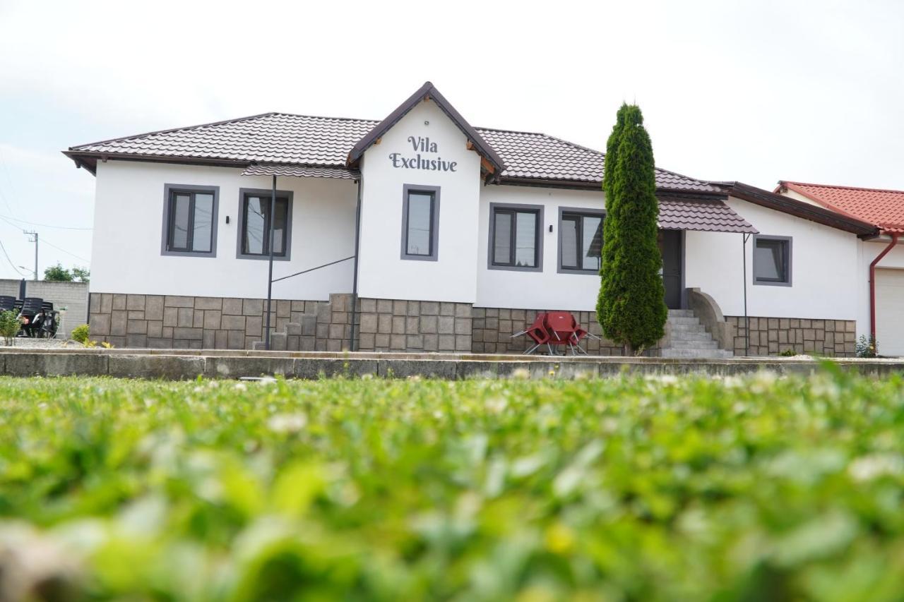 Vila Exclusive Targu Jiu Bagian luar foto