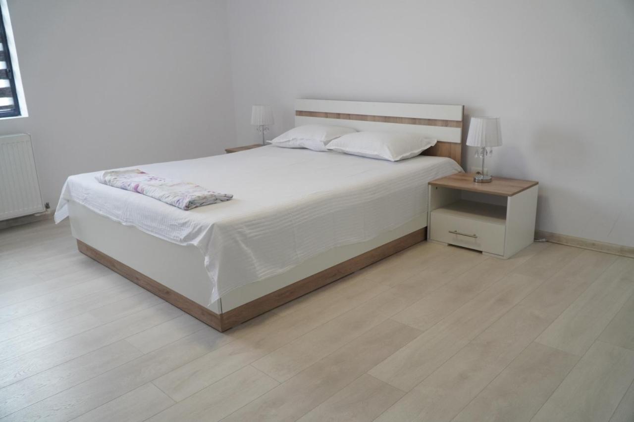 Vila Exclusive Targu Jiu Bagian luar foto