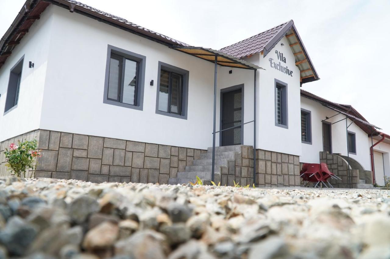 Vila Exclusive Targu Jiu Bagian luar foto